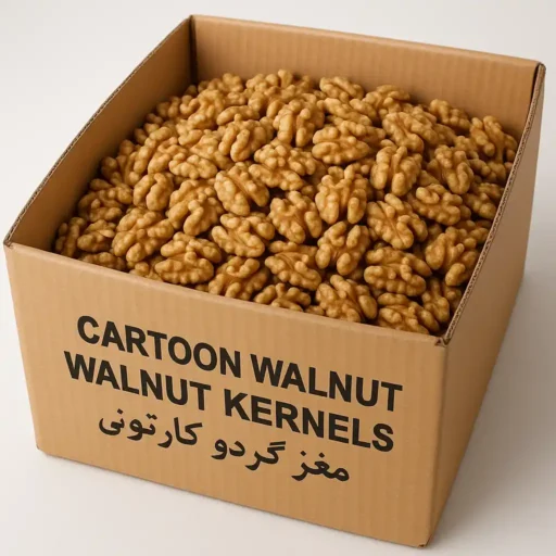 خرید مغز گردو کارتونی-بانوجیل