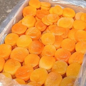 قیسی