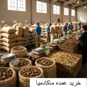 صفحه اصلی 31 خرید عمده ماکادمیا-بانوجیل